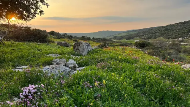 65ba98f68ad57945a218bd36 961d5fa2 b638 458b b23c cd4f01614191 kopie