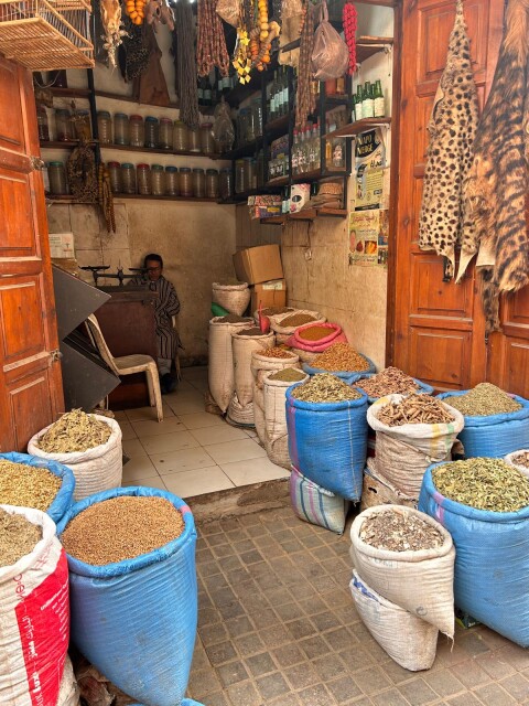 Vrouwenreis Marrakech 2026 3